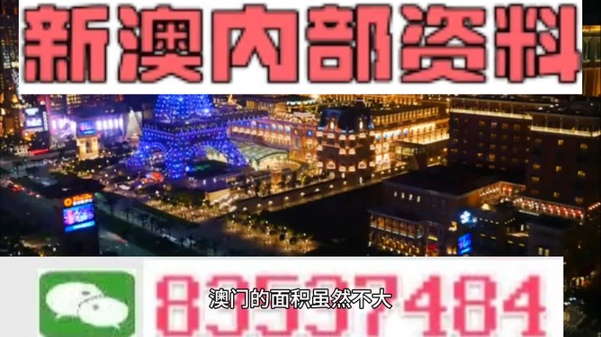 新澳門精準(zhǔn)資料大全，龍門客棧與管家婆料解析，澳門精準(zhǔn)資料大全，龍門客棧與管家婆料深度解析