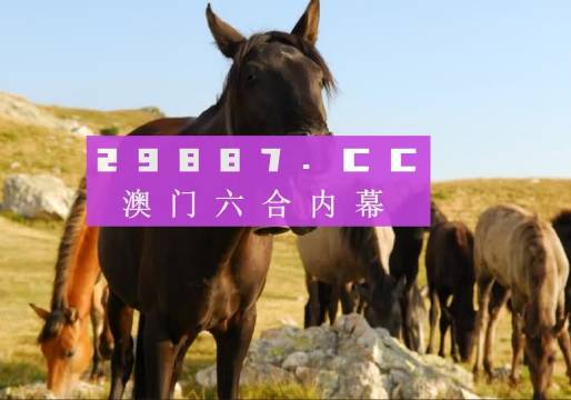 澳門第六期開獎結(jié)果圖庫，最新開獎信息一覽，澳門第六期開獎結(jié)果圖庫及最新開獎信息匯總