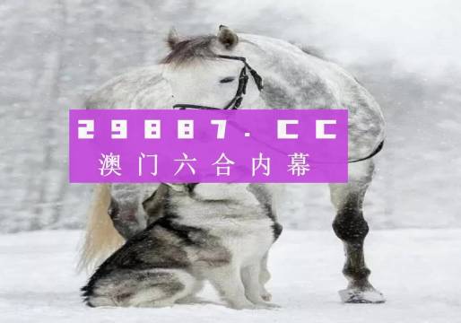 新奧門一肖一馬必中——揭秘彩票背后的秘密與策略，揭秘彩票背后的秘密與策略，新奧門一肖一馬必中技巧探究