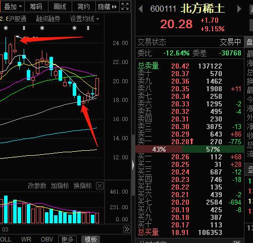 北方稀土股票（股票代碼，600111）深度解析，北方稀土股票（股票代碼600111）全方位深度解析