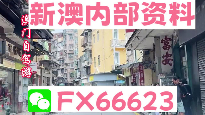 新澳精準(zhǔn)資料免費(fèi)提供，探索與實(shí)踐的指南，新澳精準(zhǔn)資料免費(fèi)分享，探索與實(shí)踐的導(dǎo)航指南