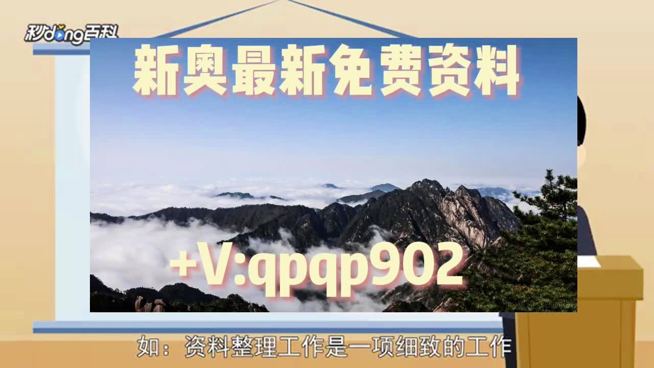 新澳2025正版資料大全——全面解析與深度探索，新澳2025正版資料大全，全面解析與深度探索指南