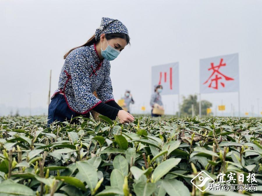 一站式獲取知識(shí)