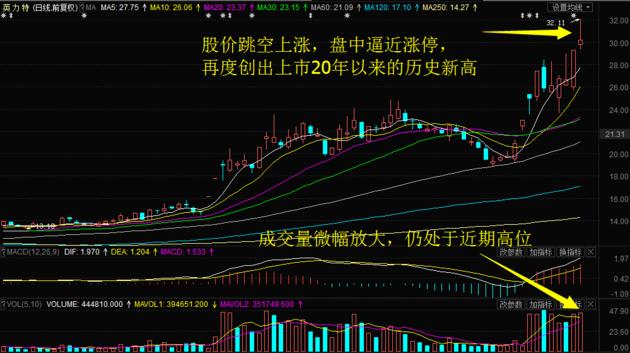 力量揭秘（或探究）