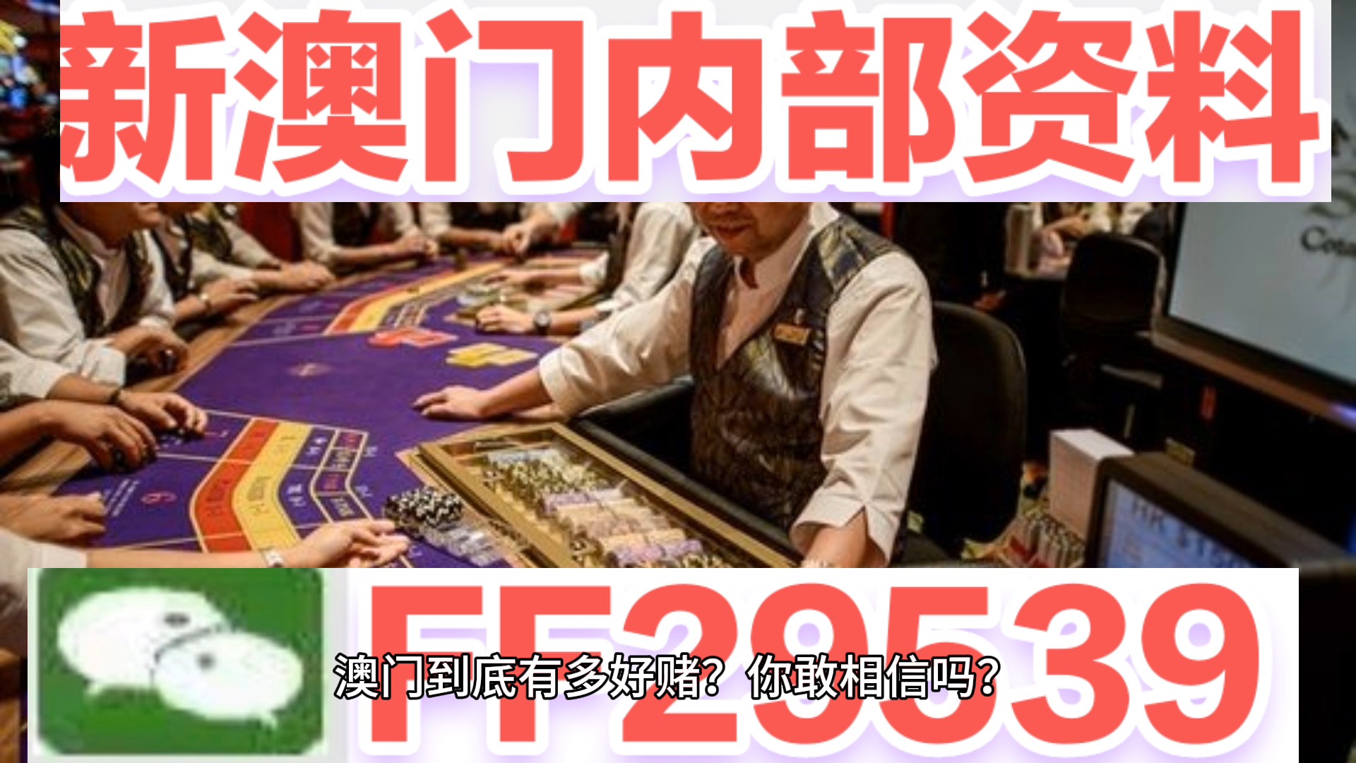 2025澳門特馬今晚開獎56期的